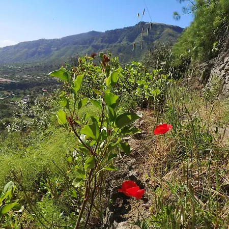 Zen Y Cueva Refugio بيت ضيافة